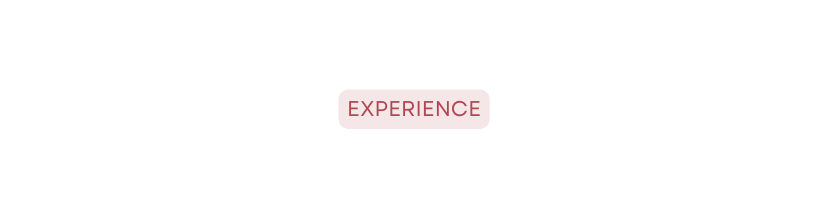 EXPERIENCE